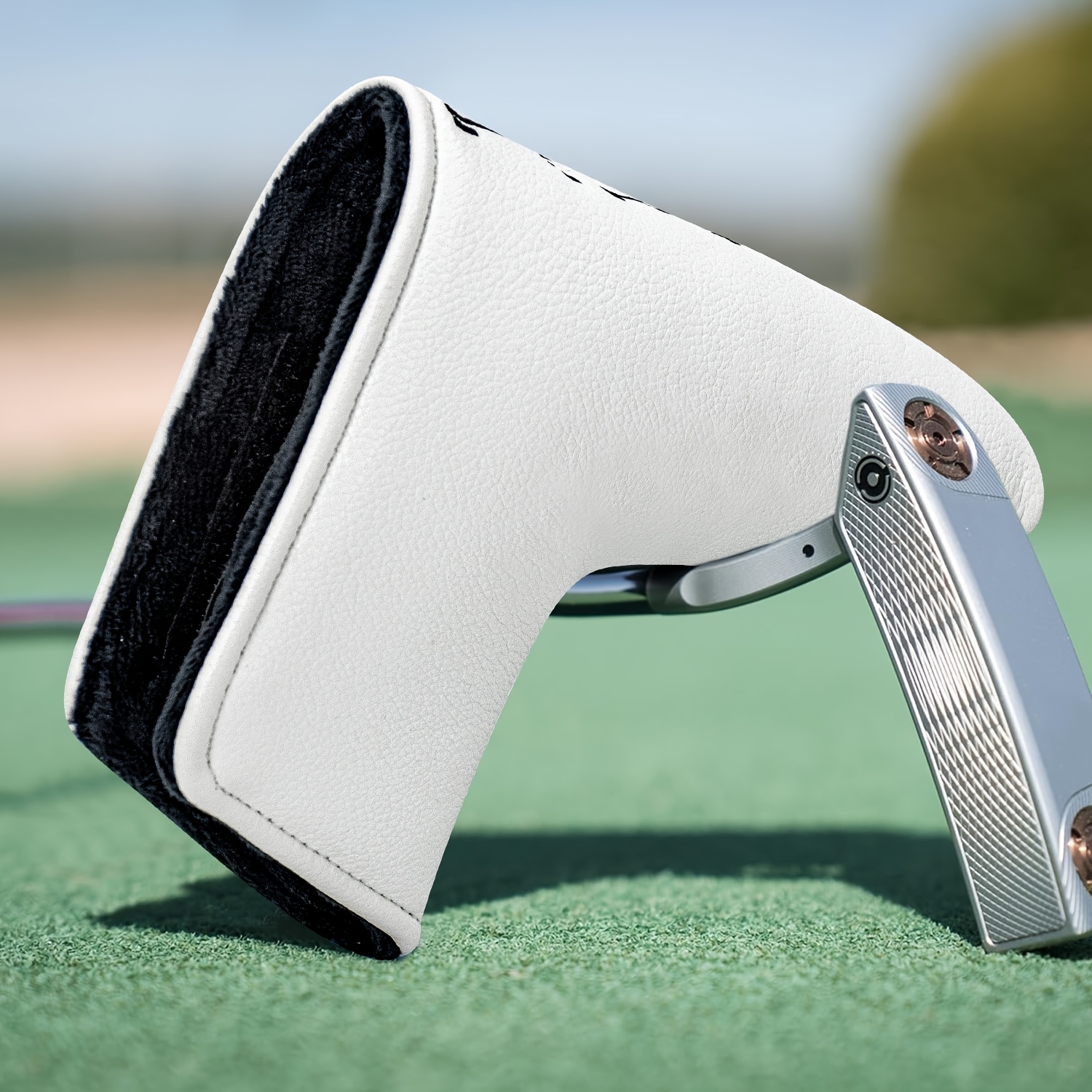 Dinosaur & Crossbones Golf Put - Golf Equipment Cabinet のレビューと価格